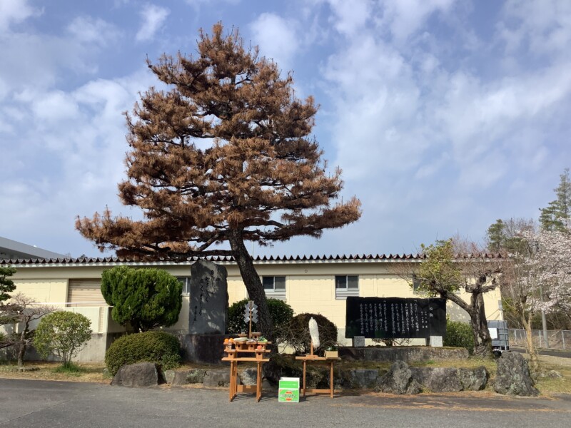 画像に alt 属性が指定されていません。ファイル名: IMG_6375.jpg