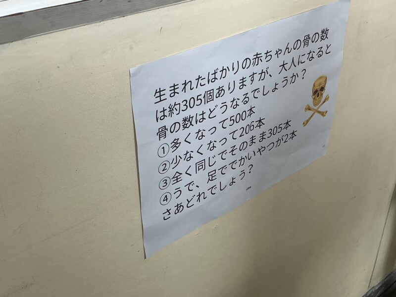 画像に alt 属性が指定されていません。ファイル名: IMG_7287.jpg